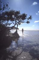 Fraser Island